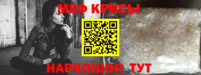 индика Гатчина