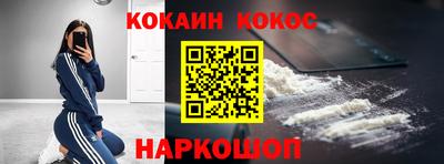 индика Гатчина