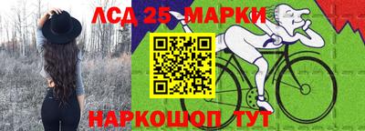 индика Гагарин