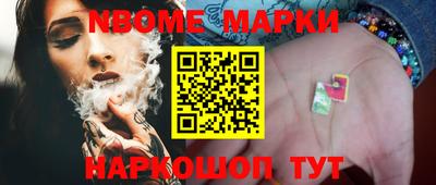 индика Гатчина