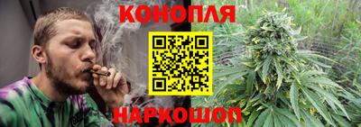 индика Гатчина