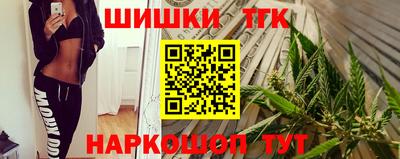 индика Гагарин