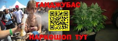 индика Гатчина