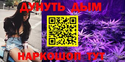 индика Гагарин
