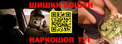 индика Гатчина