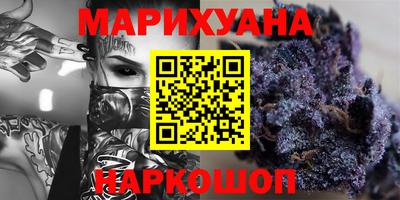 индика Гатчина