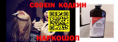 индика Гагарин