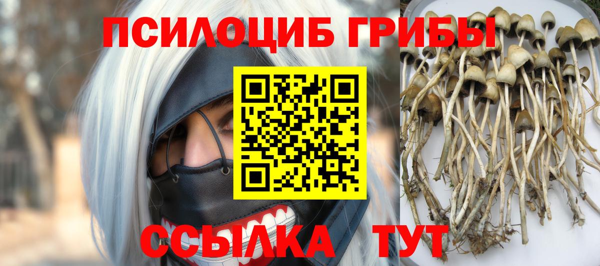 Карталы  Псилоцибиновые грибы MAGIC MUSHROOMS  Галлюциногенные грибы Cubensis  Вход с VPN 